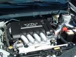 DSCF0012.JPG